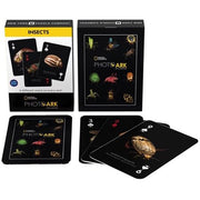 NatGeo Cards - Insects
