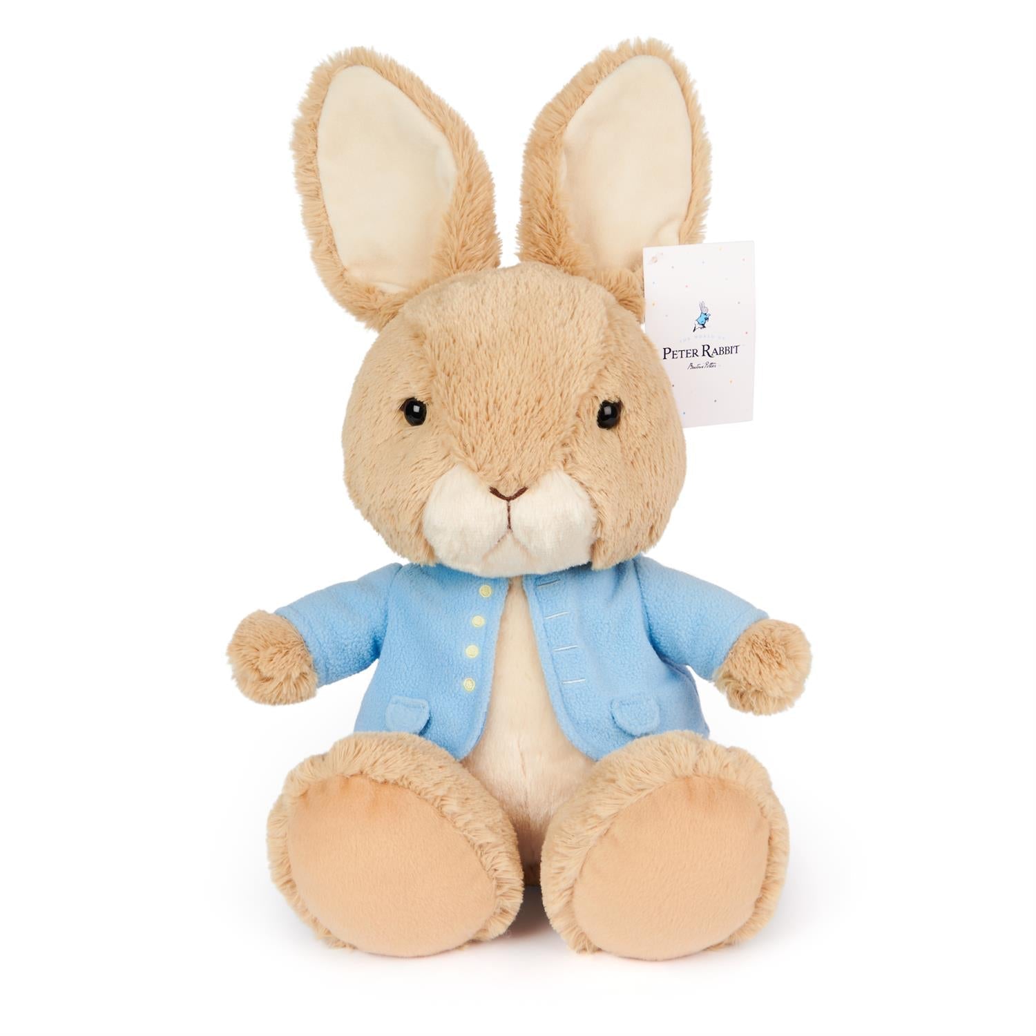 Beatrix Potter Peter Rabbit Silly Pawz 11" by Homeportonline