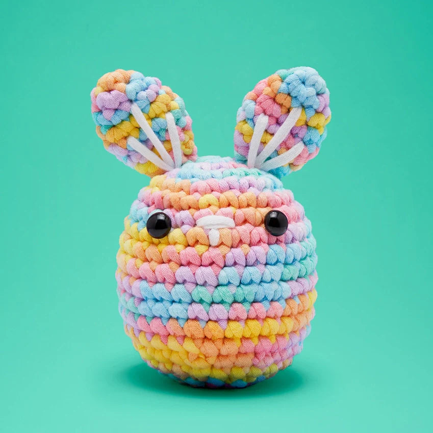 Beginner Crochet Kit
