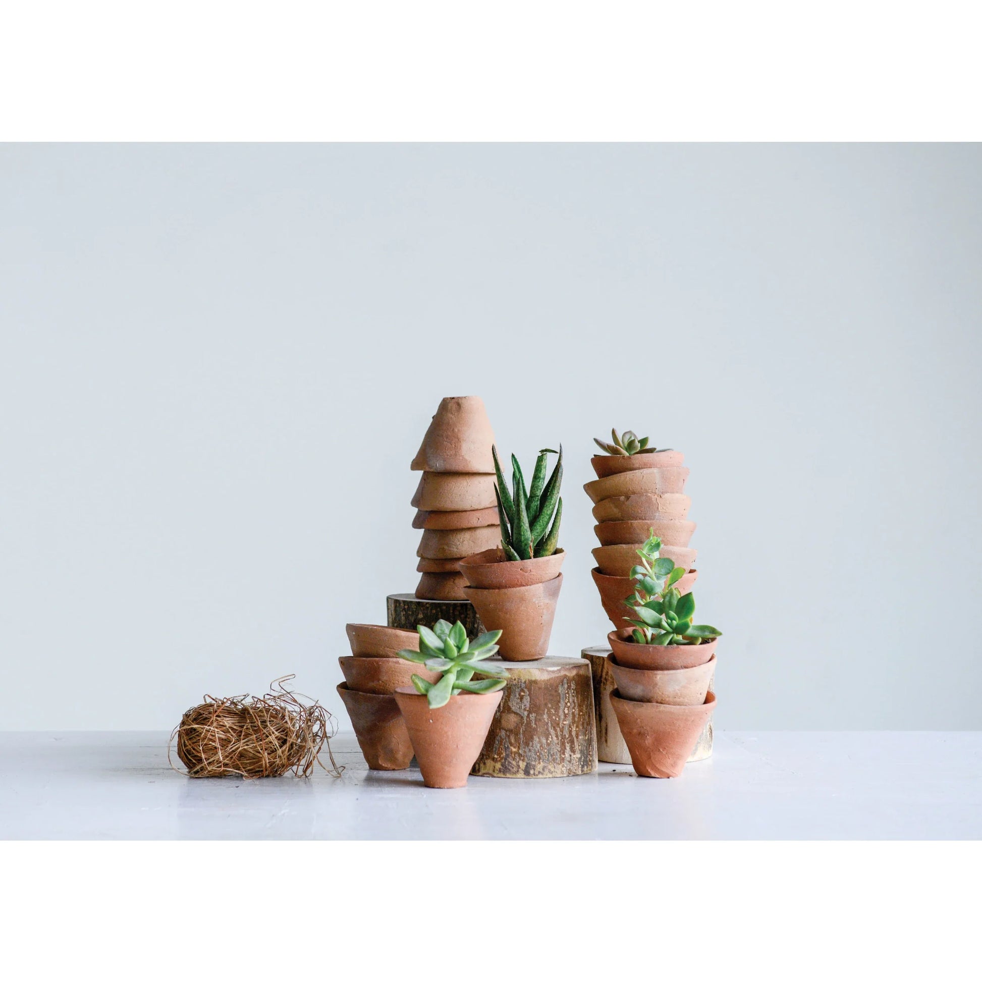 Planter - Terracotta Tiny (Sold Individually) by Homeportonline