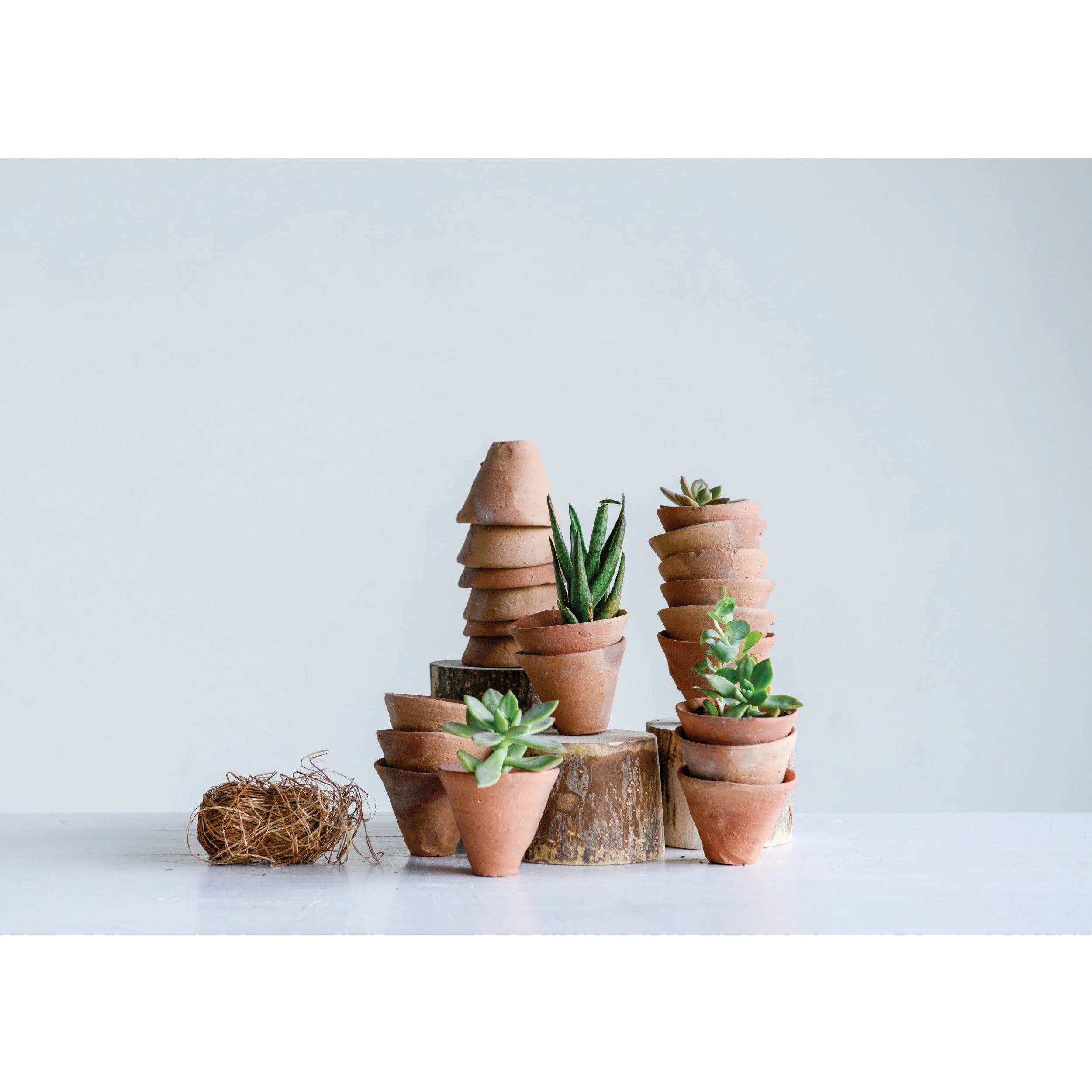 Planter - Terracotta Tiny (Sold Individually) by Homeportonline