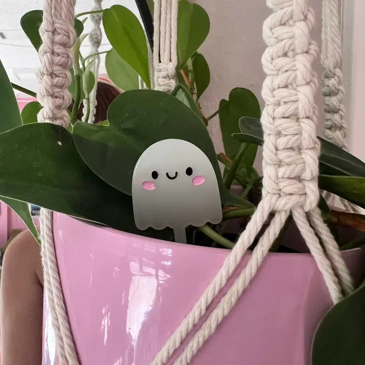 Ghost Plant Pal
