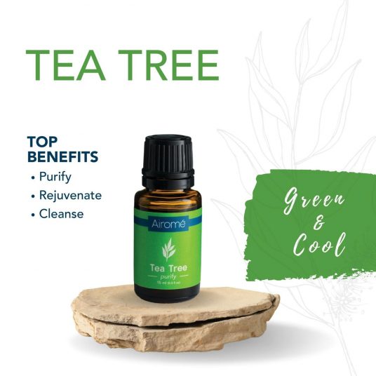 Essential Oil - 15mL - Tea Tree by Homeportonline