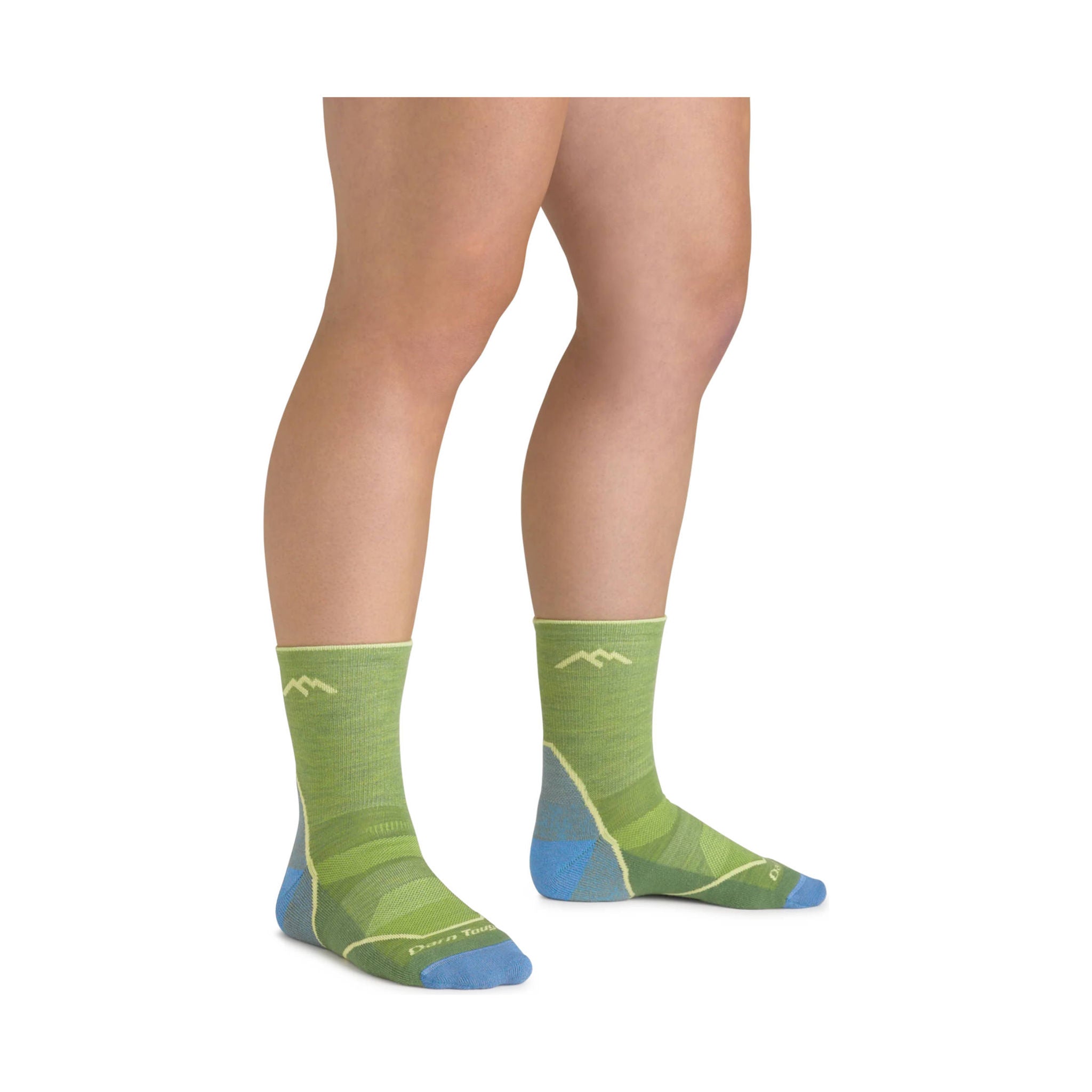 Darn Tough Vermont Kids' Light Hiker Micro Crew Lightweight Hiking Sock - Willow by Lenny's Shoe & Apparel