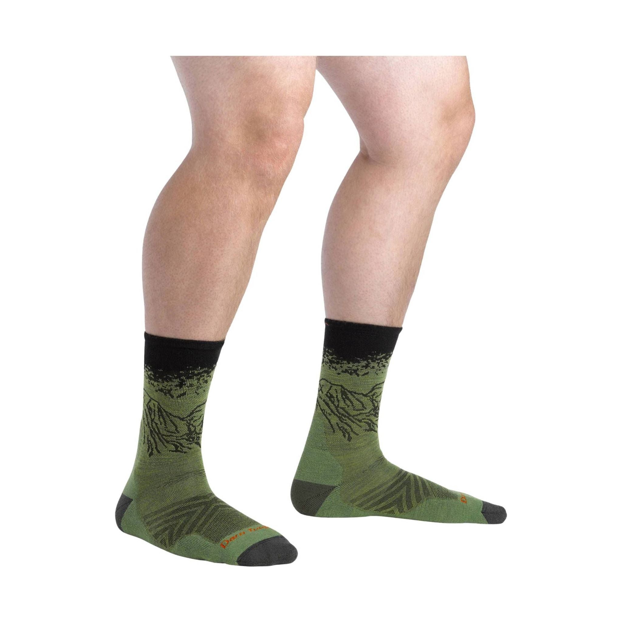 Darn Tough Vermont Men's Vert Micro Crew Ultra Lightweight Running Sock - Lichen by Lenny's Shoe & Apparel