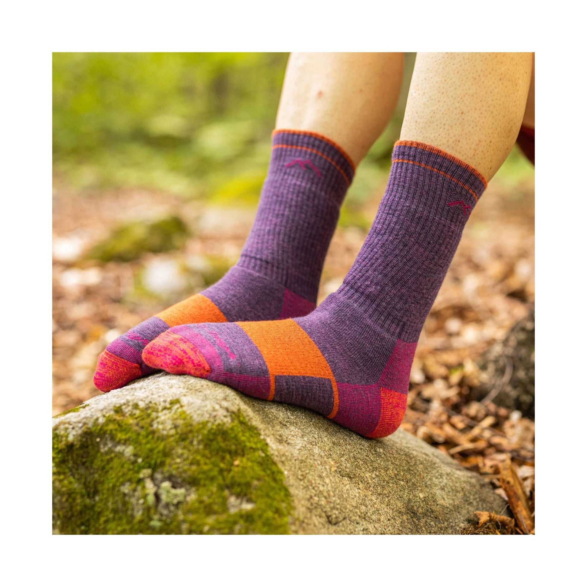 Darn Tough Vermont Women's Hiker Boot Full Cushion Midweight Hiking Sock - Plum Heather by Lenny's Shoe & Apparel
