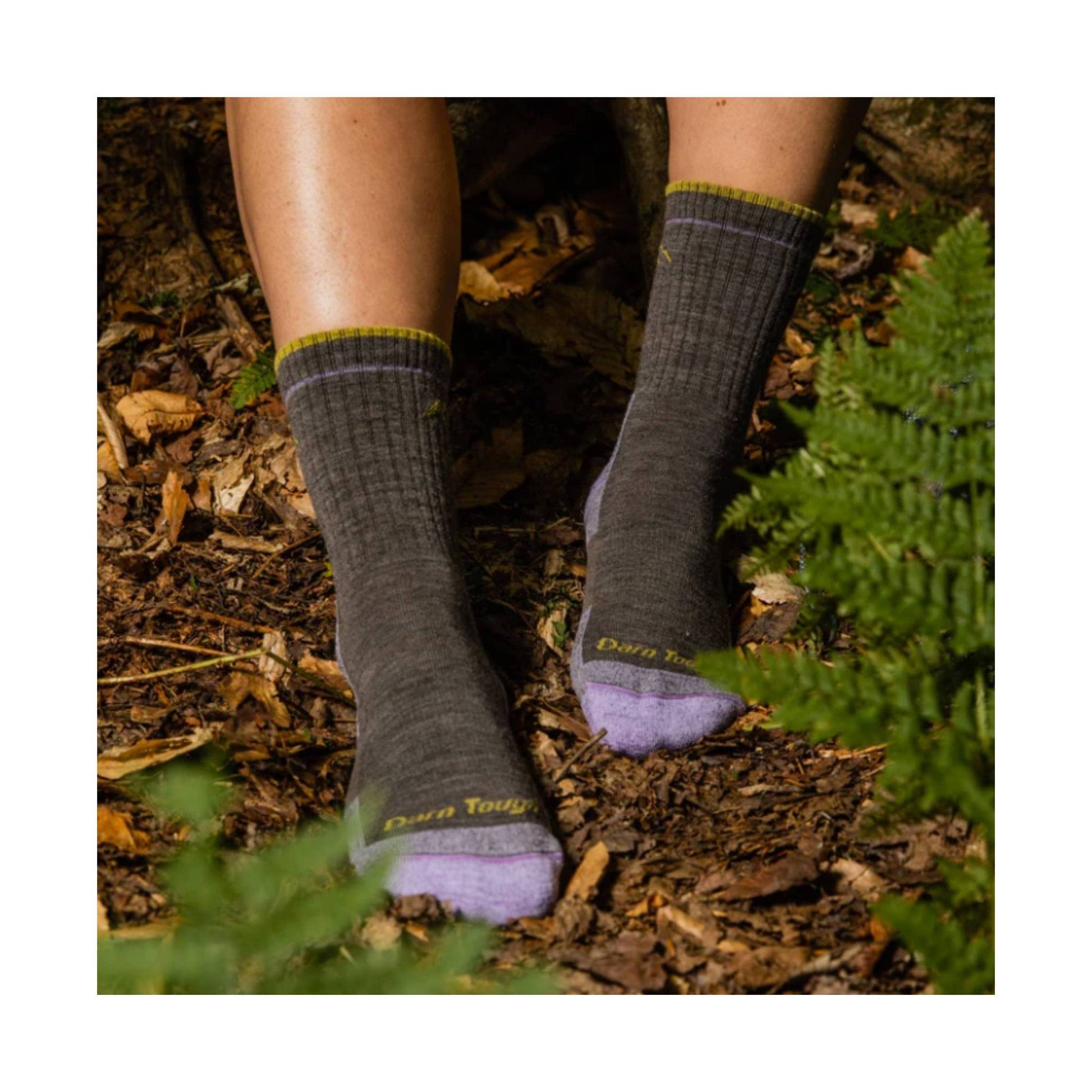 Darn Tough Vermont Women's Hiker Micro Crew Cushion - Taupe by Lenny's Shoe & Apparel