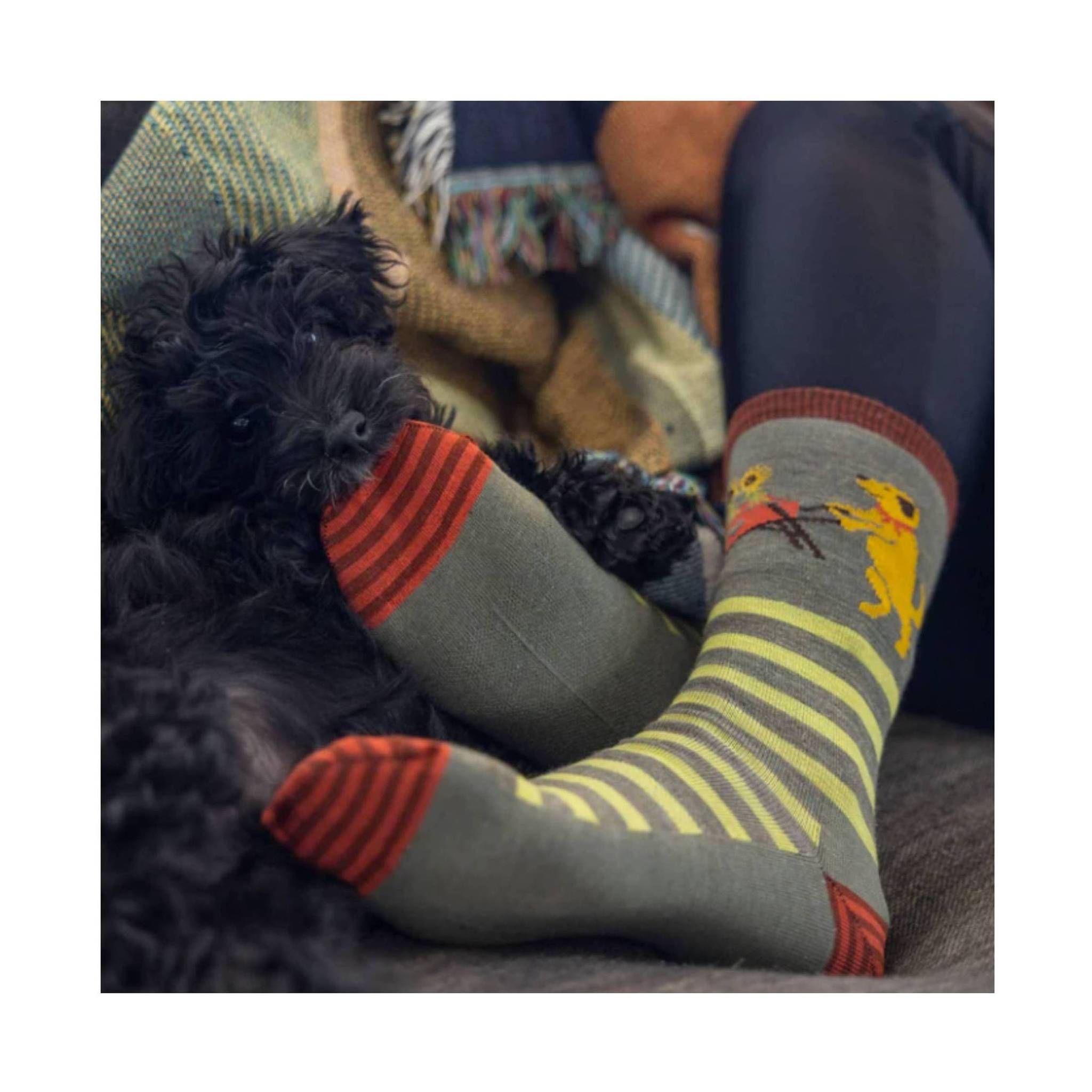 Darn Tough Vermont Women's Lightweight Lifestyle Animal Haus Crew - Herb by Lenny's Shoe & Apparel