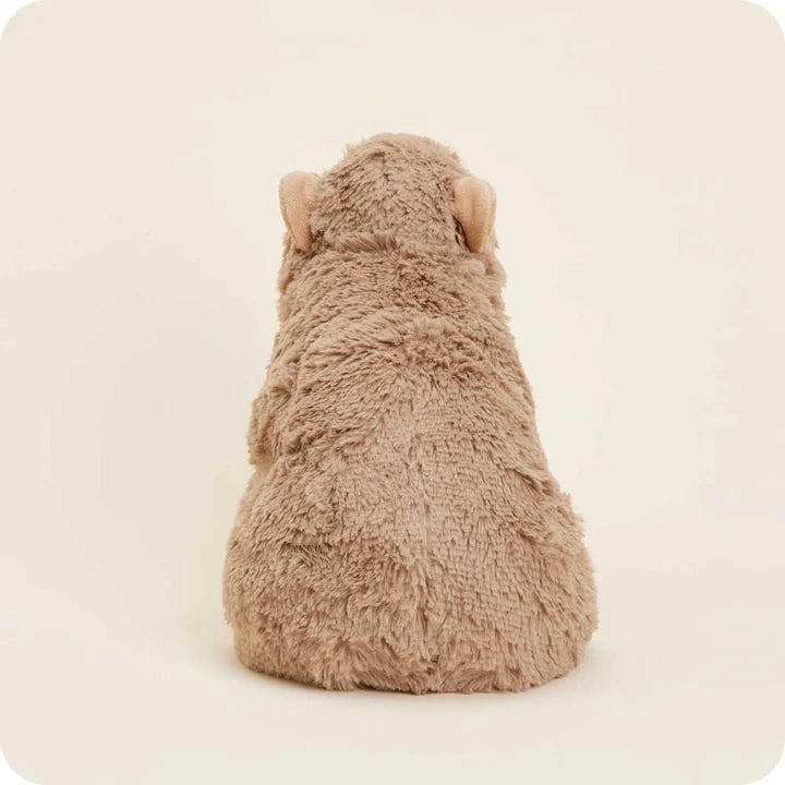 Warmies Capybara 11.5" by Homeportonline