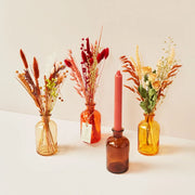 Dried Flowers in a Bottle - Terra