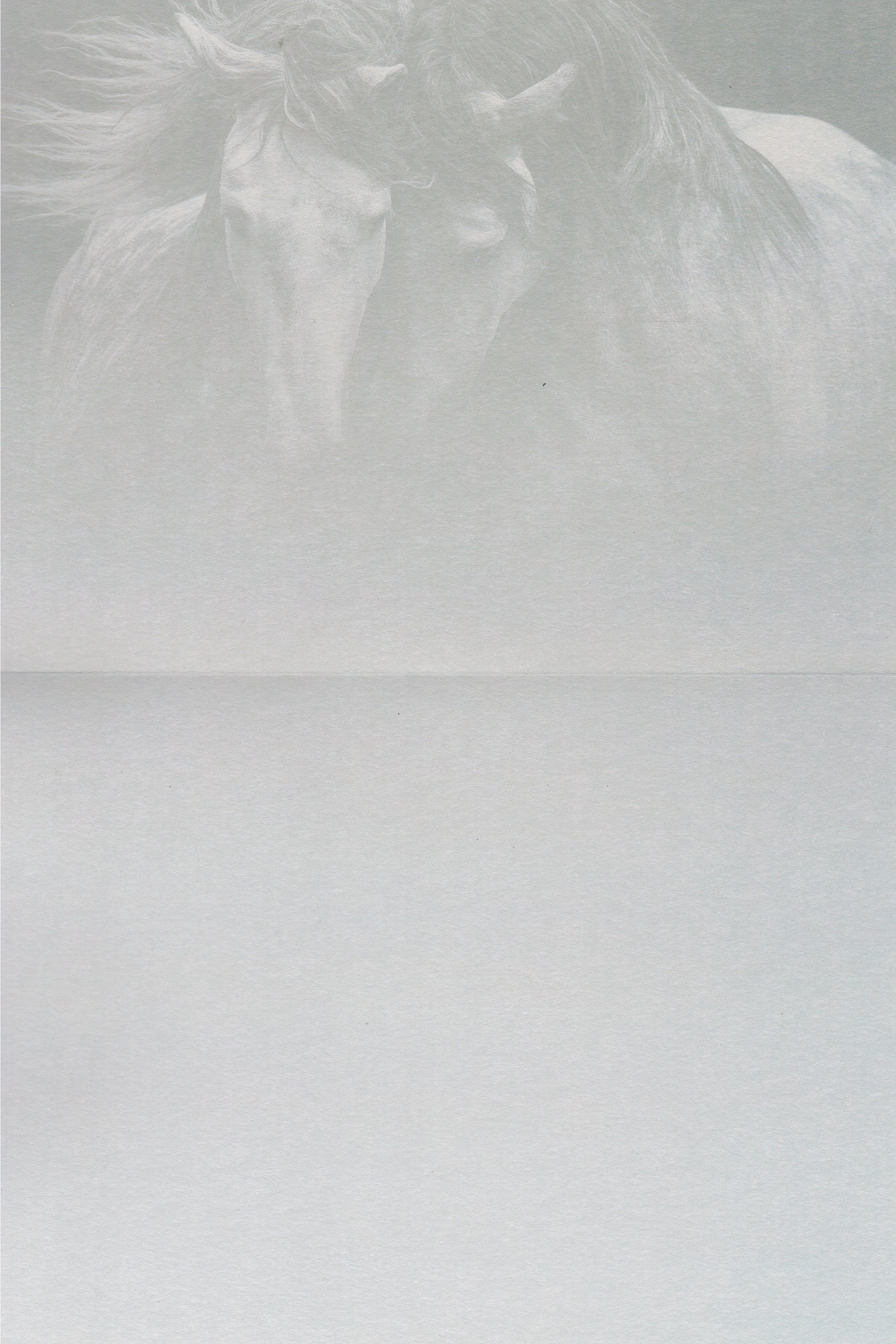 Kindred Spirits Greeting Card -  Blank Card