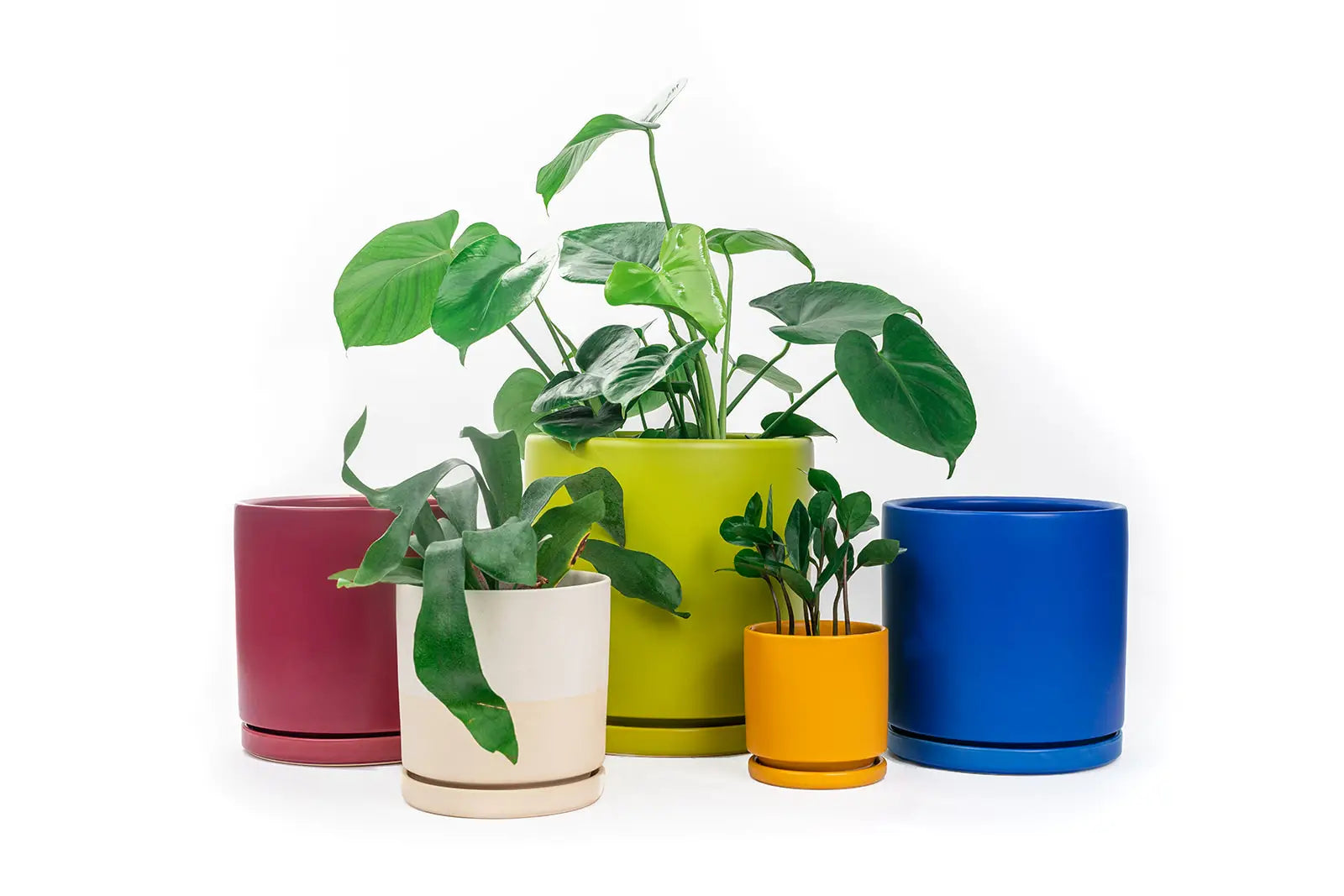 4.5" Gemstone Pot - with Water Saucer