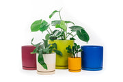 4.5" Gemstone Pot - with Water Saucer