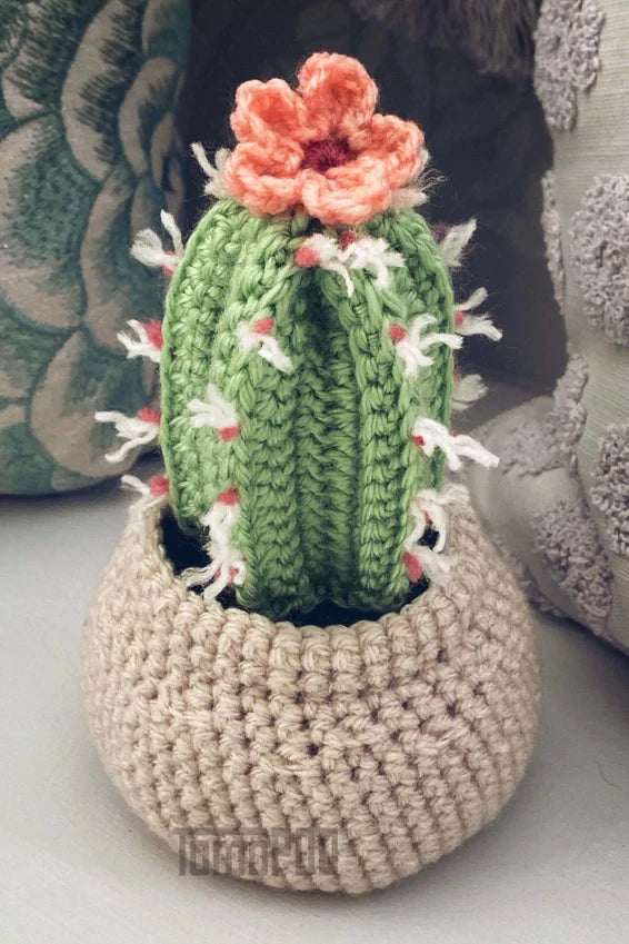 Crochet Plant
