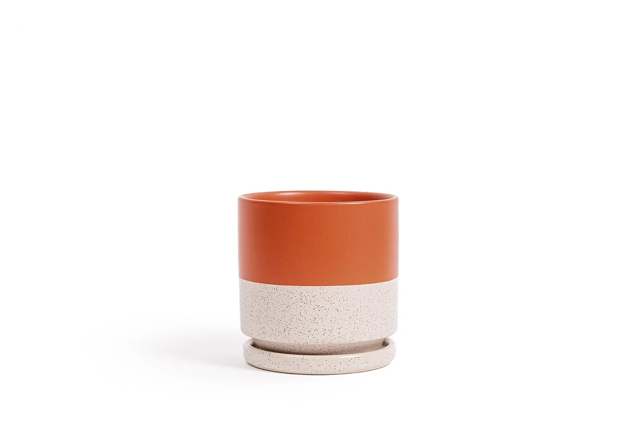 4.5" Gemstone Pot - with Water Saucer