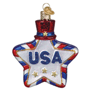 USA Star Glass Ornament