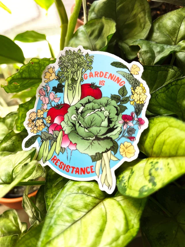 Feminist Stickers
