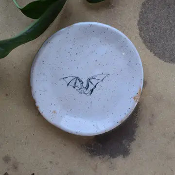 Mini Plate