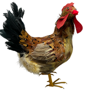 Feathered Chicken Figurine