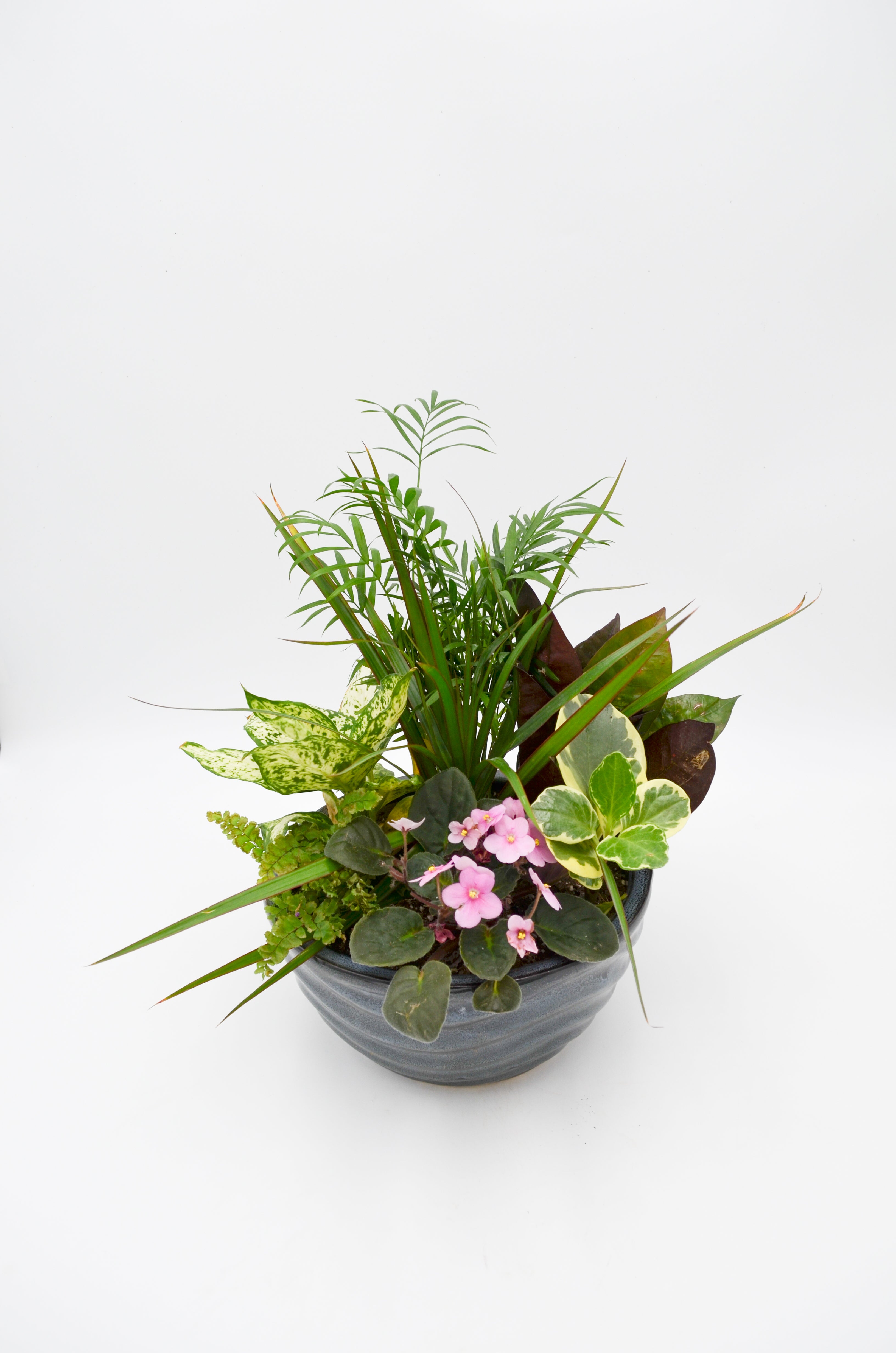 Ceramic Dish Garden, Holiday