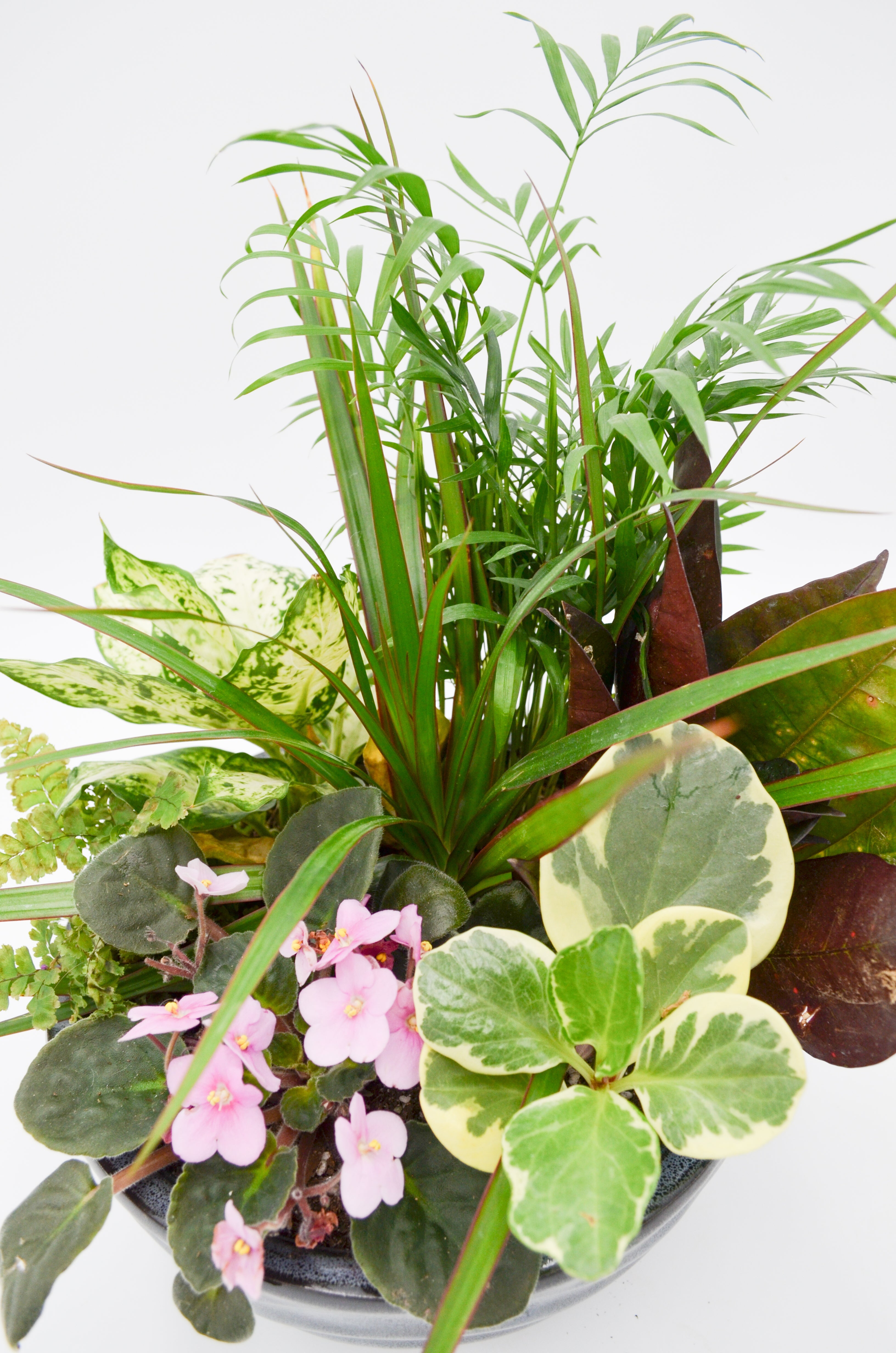 Ceramic Dish Garden