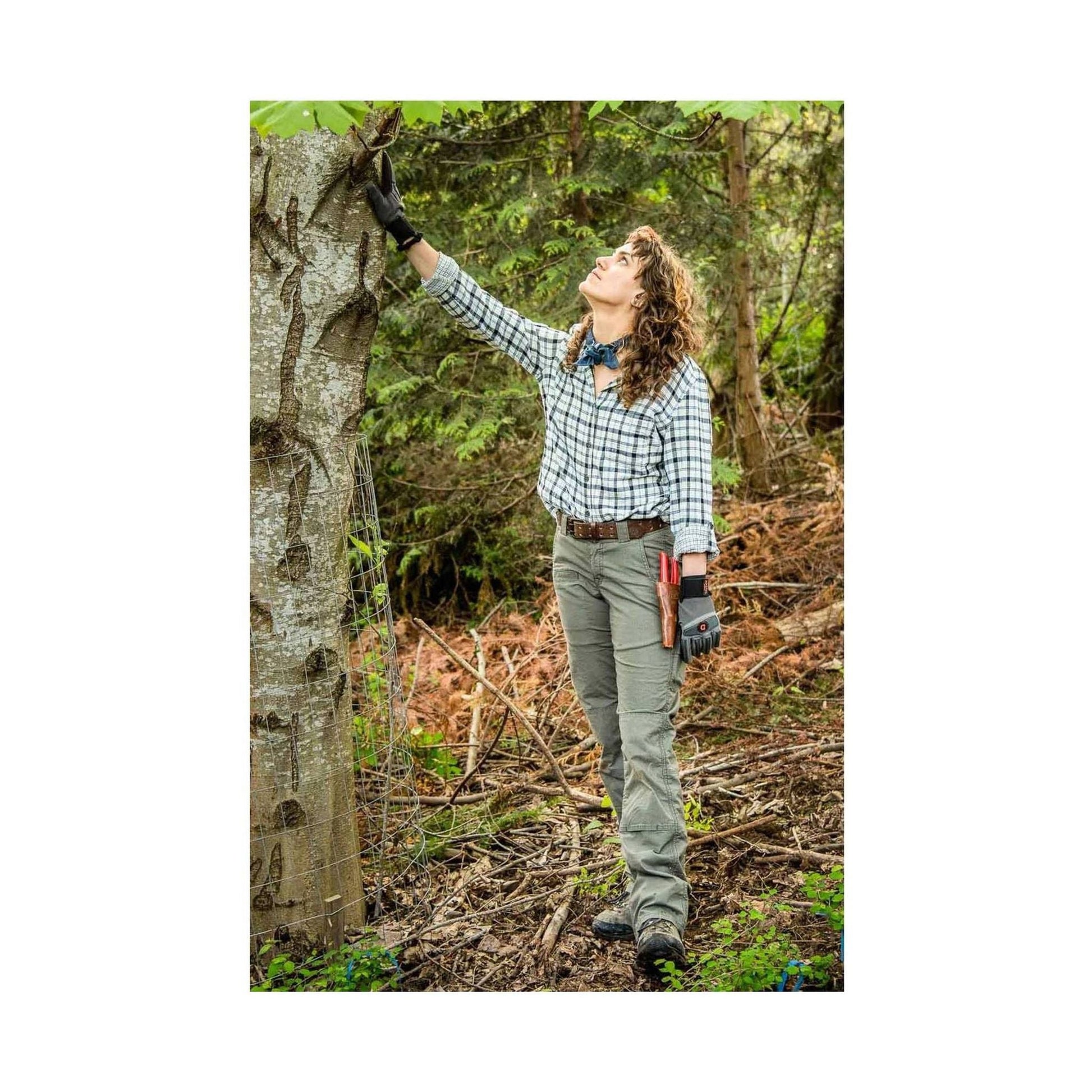 Dovetail Women's Day Construct Ripstop Pant - Olive Green by Lenny's Shoe & Apparel