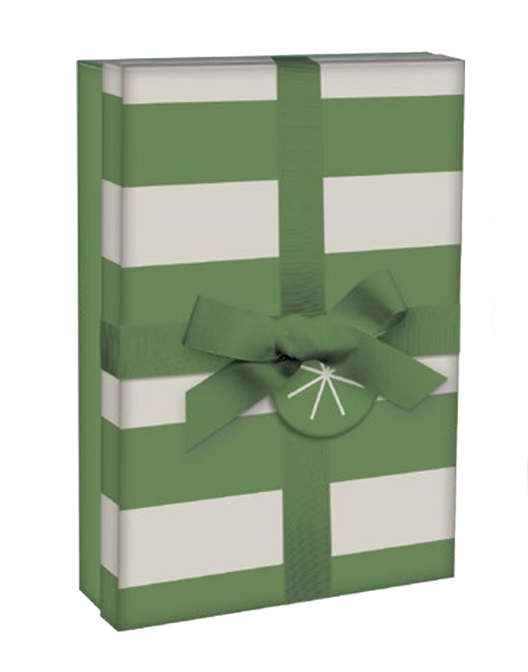 Rectangular Giftbox with Ribbon -