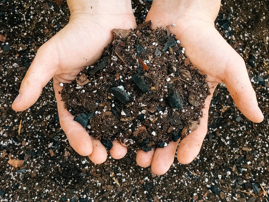 Dirt Bag: Premium Aroid Mix
