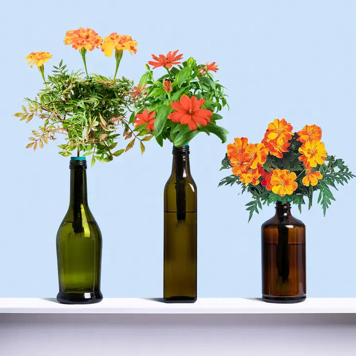 Urban Leaf Edible Flowers Garden Kit
