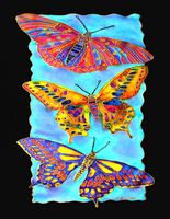 Vermont Artist - Nancy Jacobus (Sold Individually) by Homeportonline