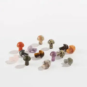Assorted Mini Mushrooms - Sold Individually by Homeportonline