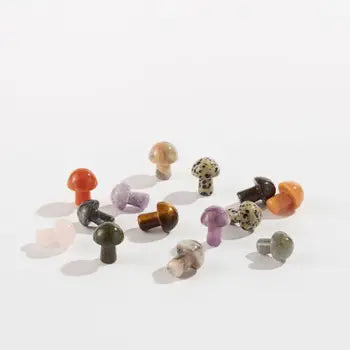 Assorted Mini Mushrooms - Sold Individually by Homeportonline