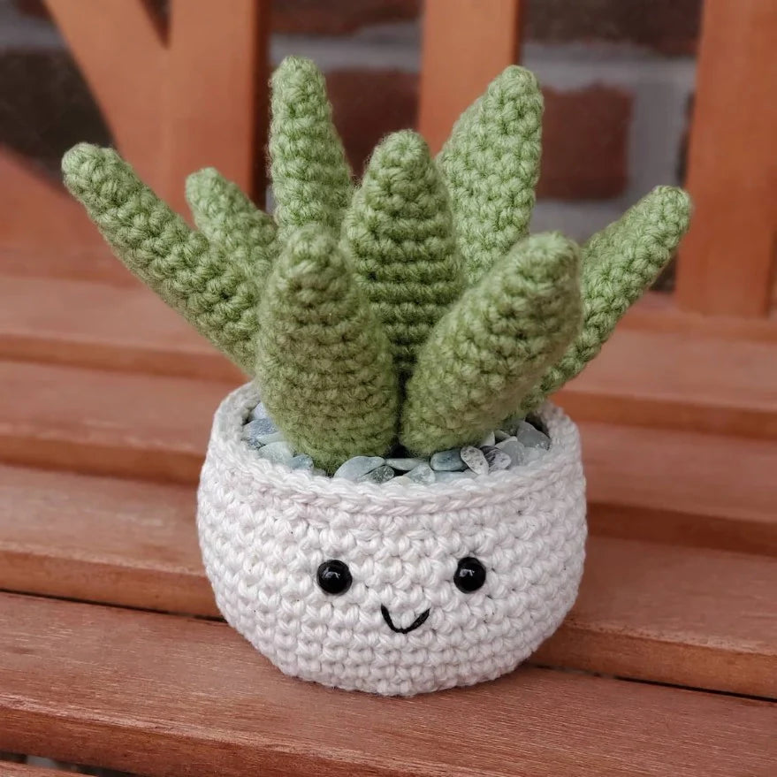 Crochet Plant
