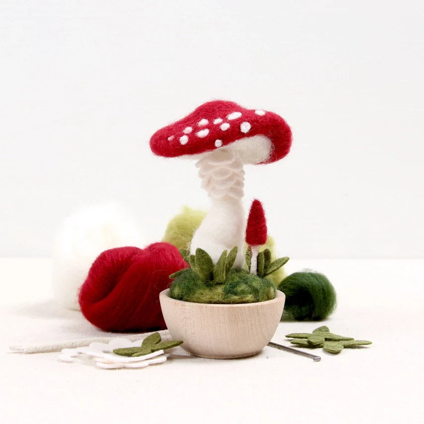 Needle Felting Kit