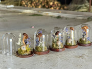 Miniature Lavender, Mushroom, and Snail Terrarium