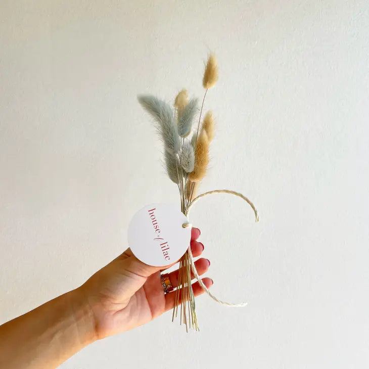 Dried Flower Bunny Tail Bundle