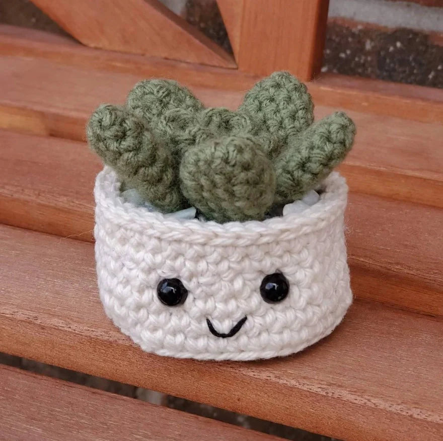 Crochet Plant