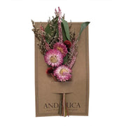 Pink Strawflower Mini Bouquet