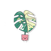Variegated Monstera Vinyl Sticker