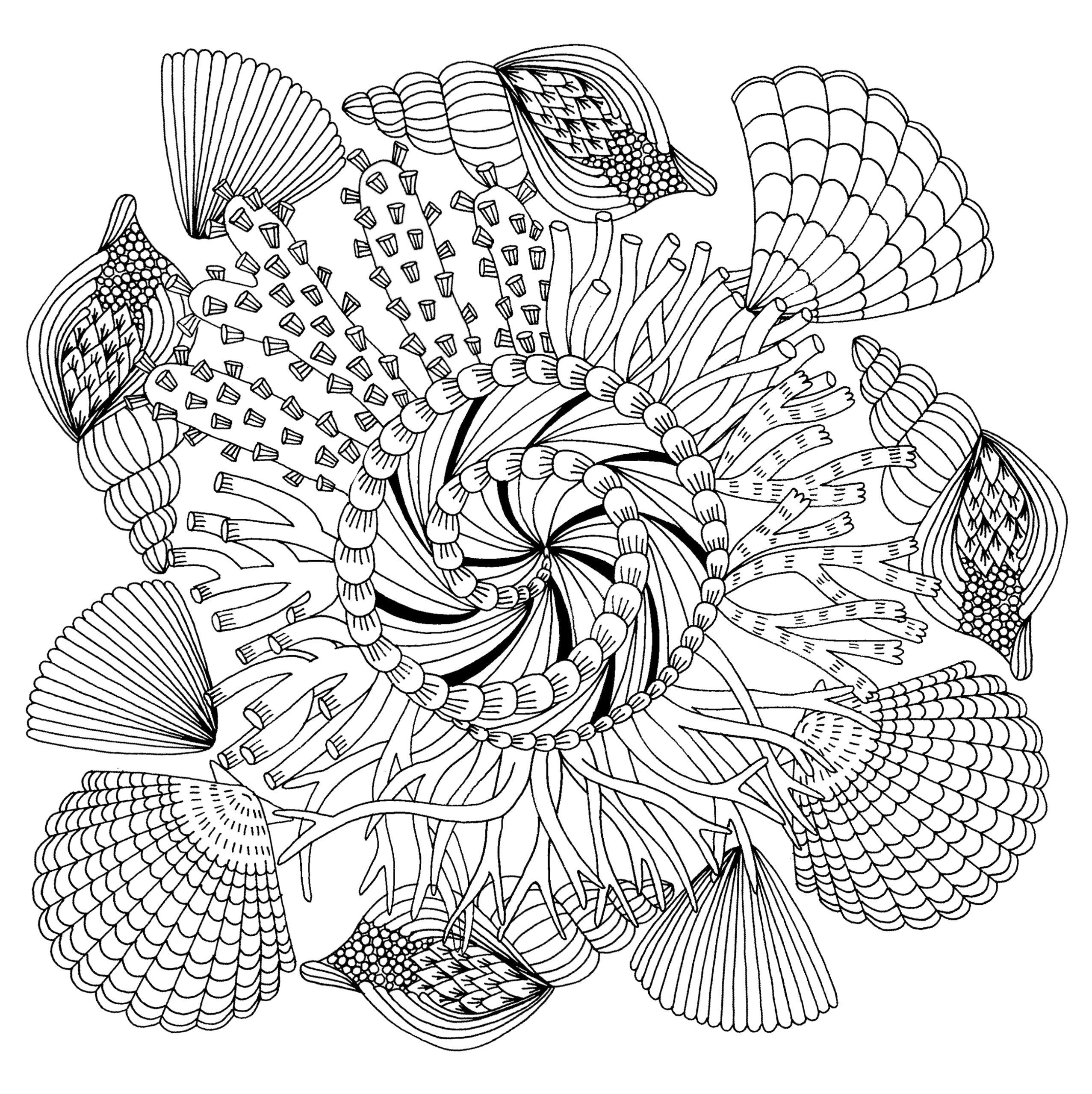 Artist's Adult Coloring Book Follow Your Dreams by Homeportonline