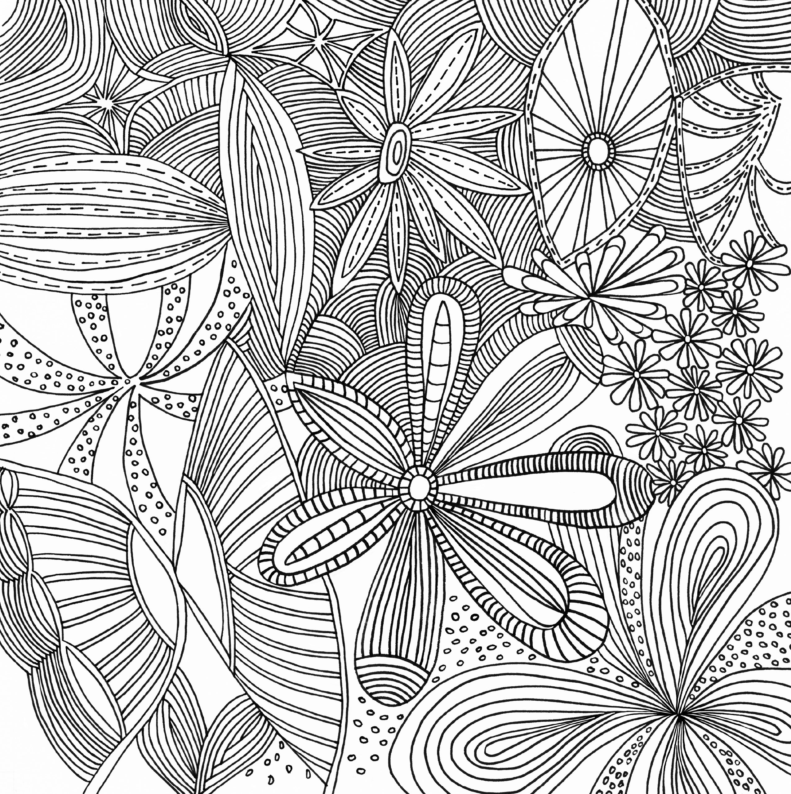 Artist's Adult Coloring Book Serenity by Homeportonline