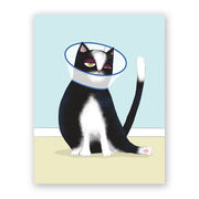 Cone Cat Get Well Greeting Card by Wild Lark