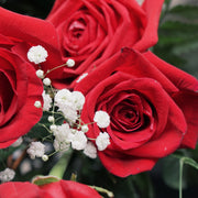 Dozen Roses - Choose Your Color!