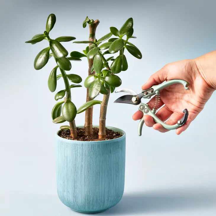 Garden Pruners by Wild Lark