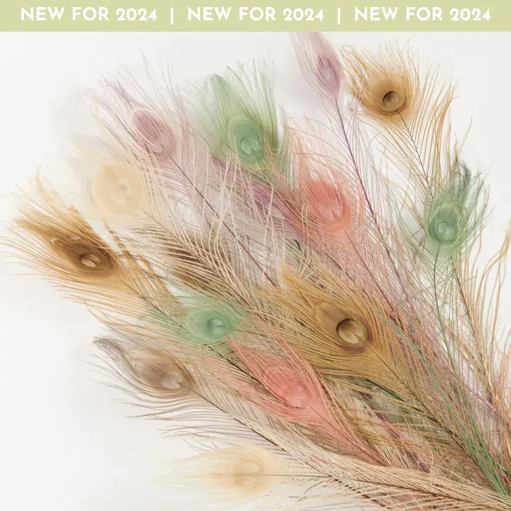 Peacock Feather - Pastel