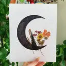 Moon Prints