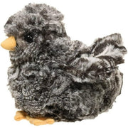 Douglas Black Multicolored Chick