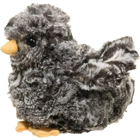 Douglas Black Multicolored Chick