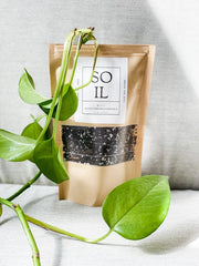 Chunky Potting Soil