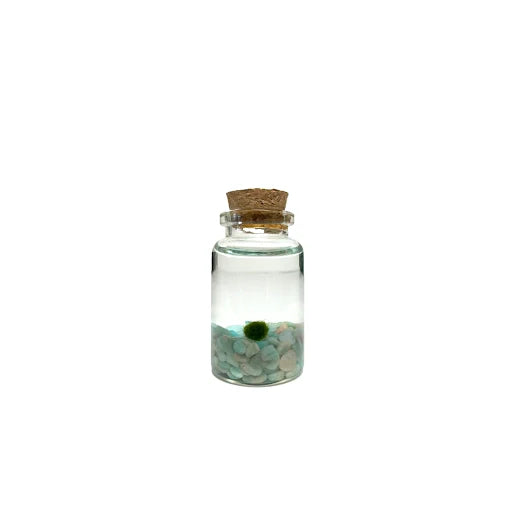 Moss Ball - Tiny